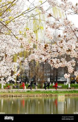 玉合公園怎麼樣 當地的居民認為玉合公園是城市中的綠肺